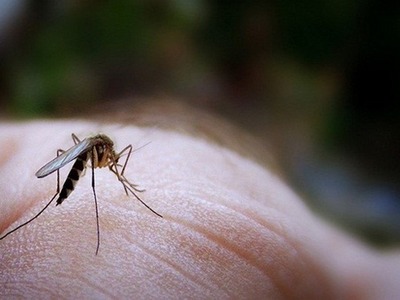 Δέκα κρούσματα λοίμωξης από τον ιό του Δ...