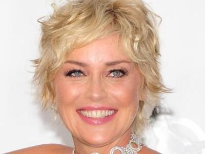 Η Σάρον Στόουν του «Βασικού Ενστίκτου» δ...