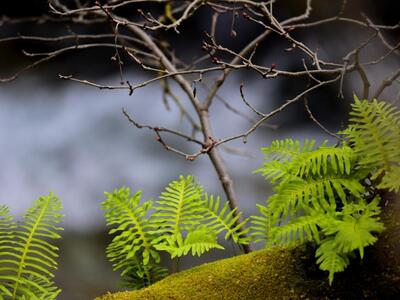ΦΩΤΟ ΑΠΟ ΤΗ EUROKINISSI.