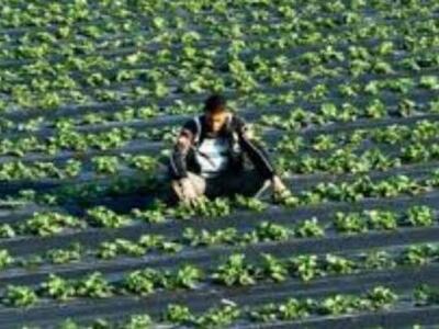 Ηλεία: Επι τόπου για τις ματωμένες φράου...