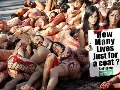 Γυμνή διαμαρτυρία στη Βαρκελώνη για τα δ...