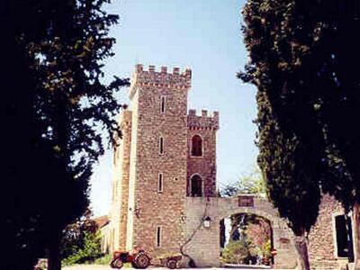 Κυριακή του Θωμά στην ACHAIA CLAUSS