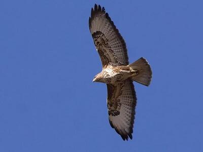 Δείτε τον εκδότη της εφημερίδας «Κόσμος»...