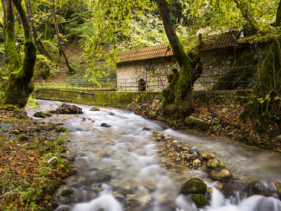 Πλανητέρο/Photo: Shutterstock