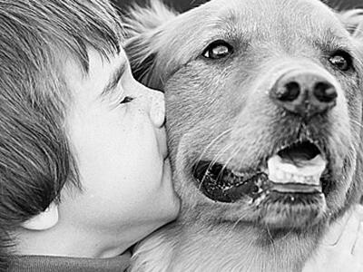 Πάτρα: Τι κάνεις τον σκύλο σου όταν πεθά...