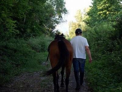 Πάτρα: Μυστήριο με άλογα στο Ρίον  - Εμφ...