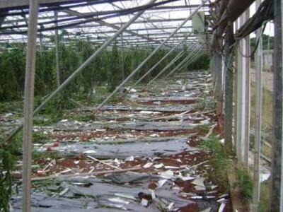 Μεσσηνία: Ανεμοστρόβιλος «σάρωσε» καλλιέ...