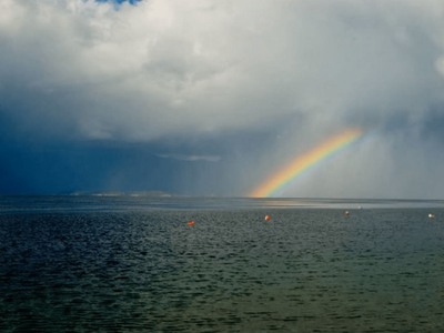 Φωτ.: gargalianoionline