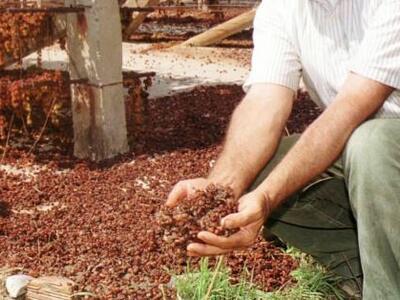 Αιγιάλεια: Τέλη του μήνα «βγαίνουν» οι α...