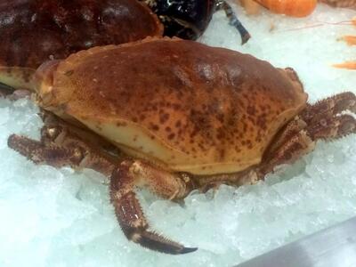 Αυστραλία: Έφαγε θαλασσινά σε ακριβό εστ...