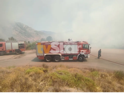 Φωτιά στο Δίστομο Βοιωτίας – Μάχη να μη ...