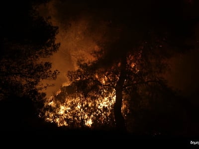 Ηλεία: Κόλαση πυρός στον Αλφειό τα μεσάν...