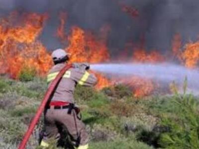 Αιτωλοακαρνανία ΤΩΡΑ: Πυρκαγιά στις Ραϊνες