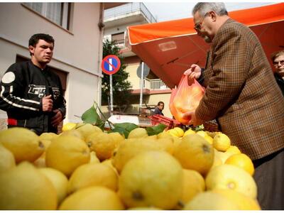 Παναιγιάλειος  Ένωση Συνεταιρισμών: Γι’ ...