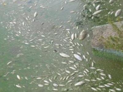 Ιωάννινα: Προβληματισμός από τη ρύπανση ...