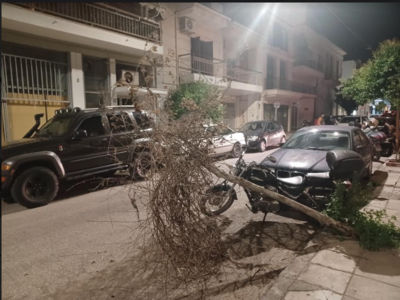 Πάτρα: Το δέντρο στη Σαχτούρη ξεράθηκε κ...
