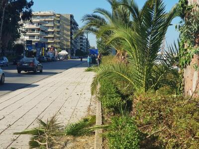 Πάτρα: Εργασίες καλλωπισμού και αποψίλωσ...