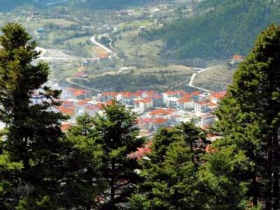 Ο σύλλογος Ευρυτανών Αχαΐας κόβει την πρ...