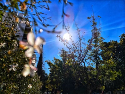 Καιρός: Με… κοντομάνικο το τριήμερο της ...