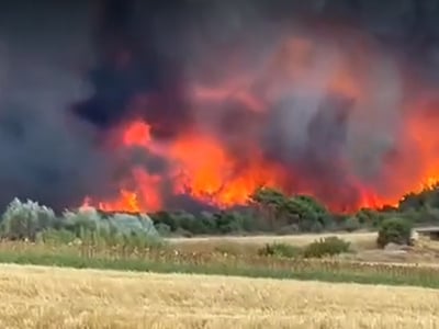 Φωτιά στην Αλεξανδρούπολη: Τρία τα μεγάλ...