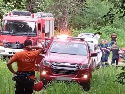 Επίθεση αρκούδας στην Δράμα: Συγκλονίζει...