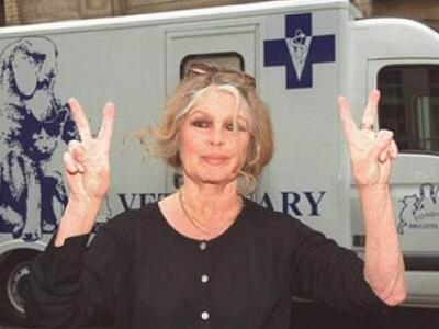 Δύο ελέφαντες οδηγούν την Μπριζίτ Μπαρντ...