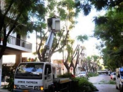Πάτρα: Κλάδεμα δένδρων σε Γούναρη και Παναχαϊκού
