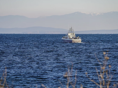 Ευχάριστα νέα από τη Χαλκιδική: Εντοπίστ...