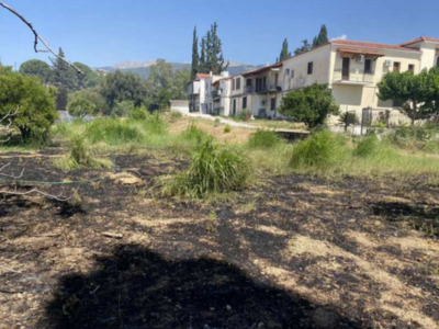 Πάτρα: Χτυποκάρδια στο Γηροκομειό για τη...