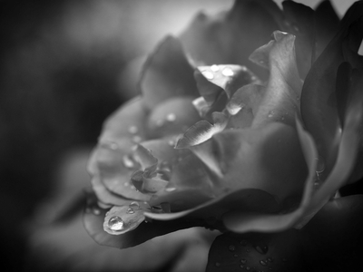 Θλίψη για τον θάνατο του Πατρινού επιχει...