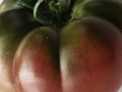 Κερδίζουν έδαφος οι βυσινί ντομάτες – Έρ...