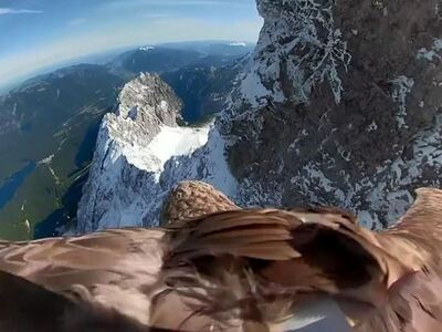 Κάμερα σε αετό καταγράφει το λιώσιμο των πάγων