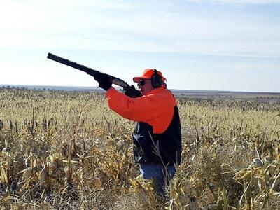 Επικήρυξαν τους δράστες που ρίχνουν φόλες