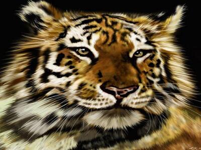 H ημέρα της Τίγρης