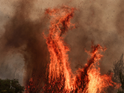 Φωτιά Ηλεία: Κλειστή η Τριπόλεως- Πύργου