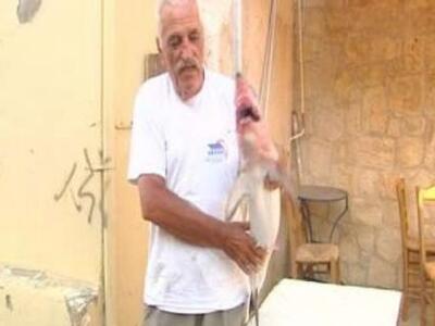 Ο ψαράς έπιασε με παραγάδι ένα καρχαρία!