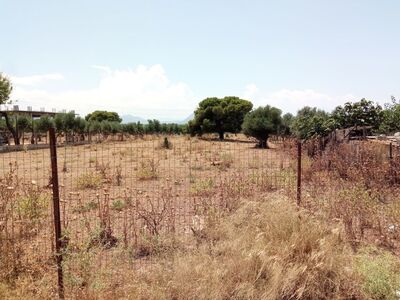 Ακαθάριστα οικόπεδα: 574.000 δηλώσεις κα...