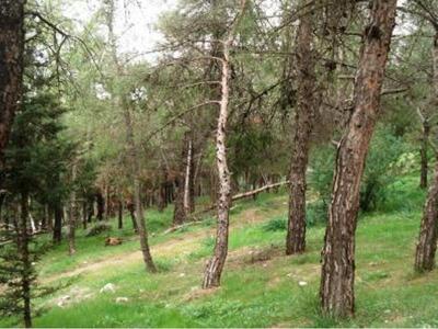 Πάτρα: Η Δημοκρατική Αριστερά αύριο καθα...