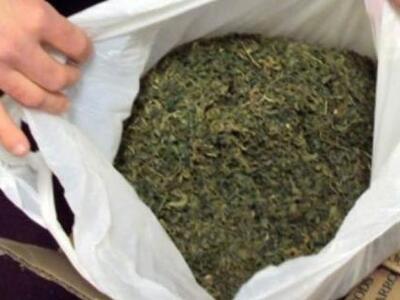 Συνελήφθη 50χρονος καλλιεργητής ναρκωτικ...