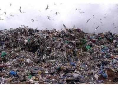 Ζάκυνθος: Στο Ευρωπαϊκό Δικαστήριο η Ελλ...