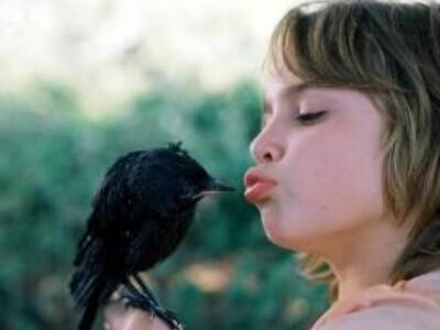 17ο Φεστιβάλ Κινηματογράφου Ολυμπίας για...