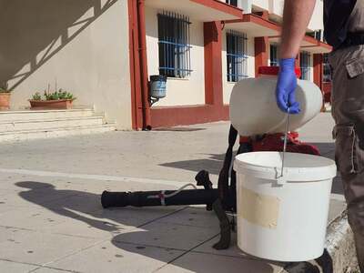 Σε ποια σχολεία της Πάτρας υπάρχουν κρού...