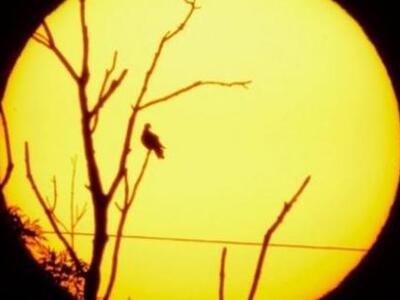 Στον άνθρωπο οφείλονται τα ακραία καιρικ...