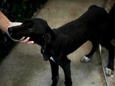 Πάτρα: Ο Δήμος προκηρύσσει διαγωνισμό γι...