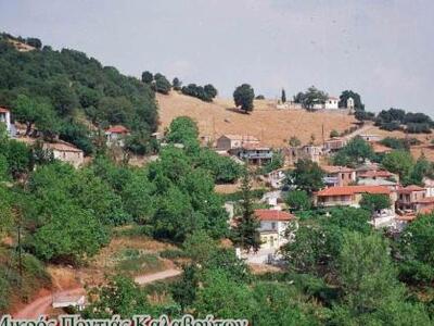 Εορταστικές και πολιτιστικές εκδηλώσεις ...