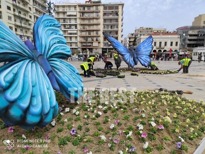 Πάτρα: Τις πεταλούδες στην πλατεία τις ε...