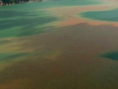 Δυτική Ελλάδα: Ο σεισμός γέμισε με... θε...