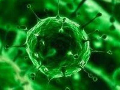 Ξέσπασμα του ιού έμπολα στη Γουινέα