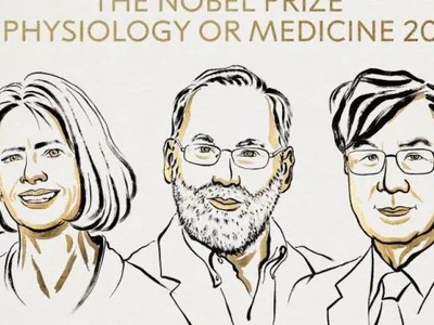  Οι επιστήμονες Μπράνκοου, Ράμσντελ και ...