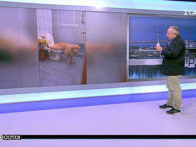 Απίθανα και αστεία βίντεο από όλο τον κόσμο